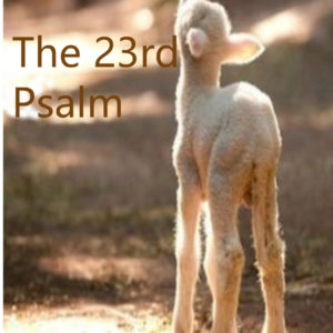 The 23rd Psalm